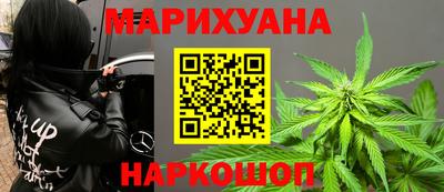 сатива Коммунар