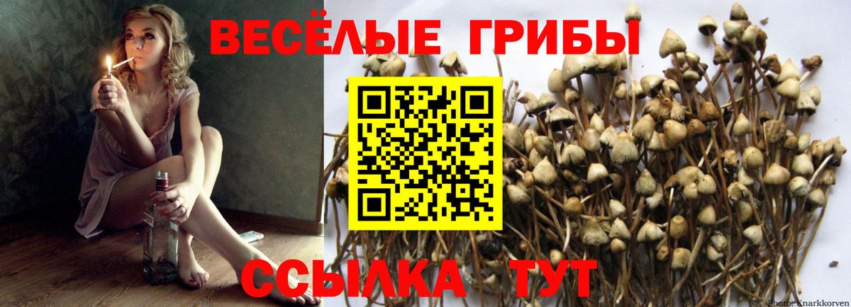Псилоцибиновые грибы ЛСД Клин